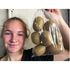 SUNGOLD KIWIFRUIT 1KG bag - KATIKATI GROWN